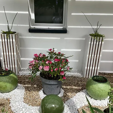 Arboré